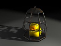 Caged ducky
