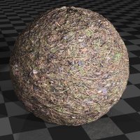 Pine needles and grass 1