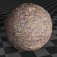 Pine needles and grass 2